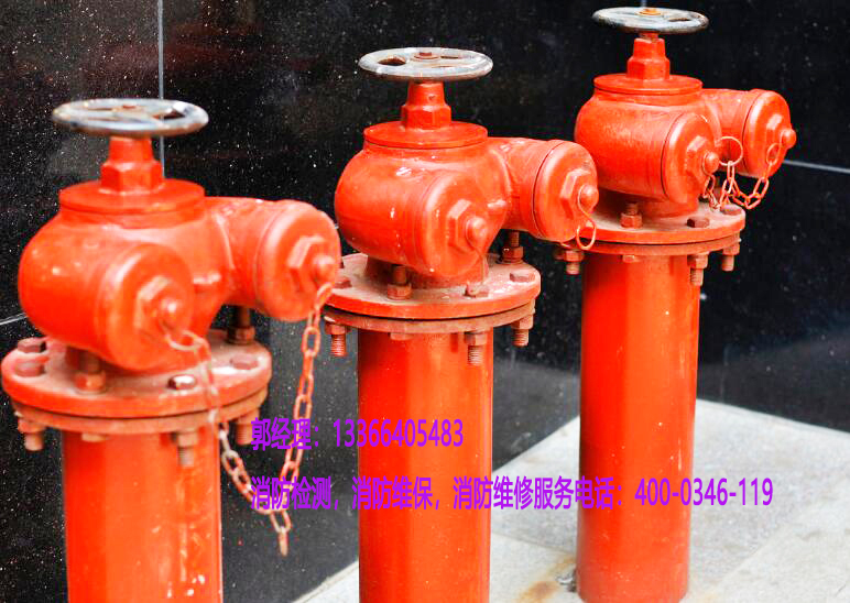 ����˨�S��