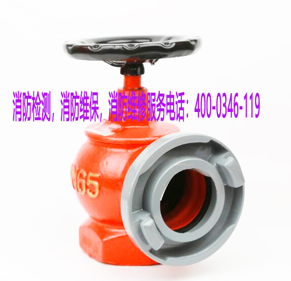 �����y�T�S��